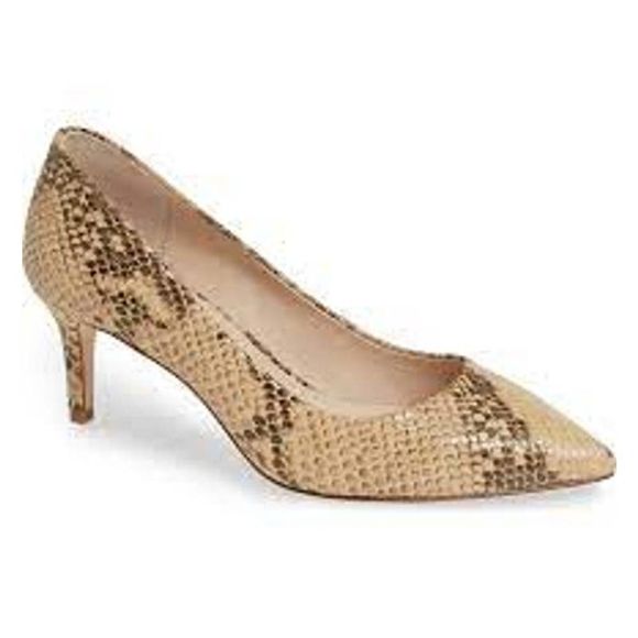 jordyna et cie Shoes - Louise et Cie Jordyna Pump women  heels size 6.5